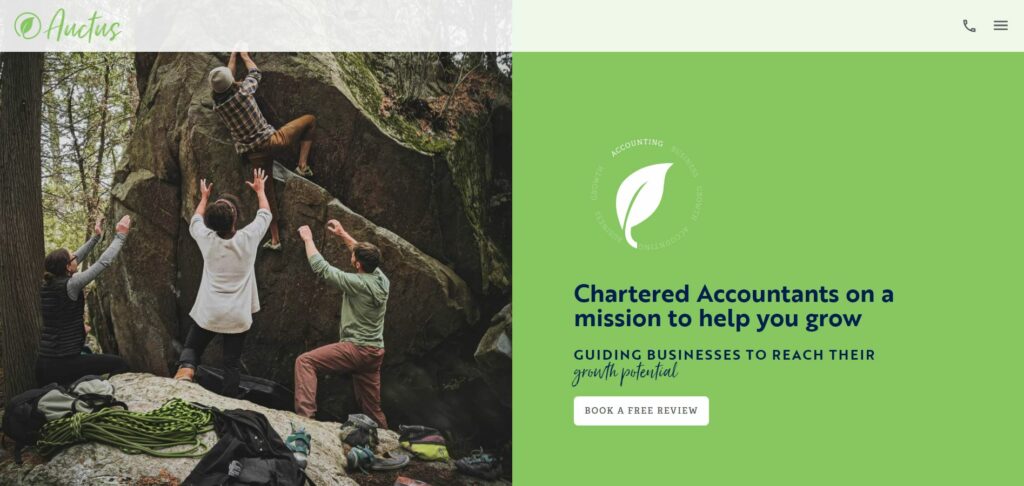 Chartered Accountants Auctus Tauranga Web image