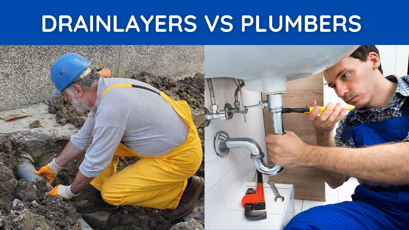 drainlayer vs plumber