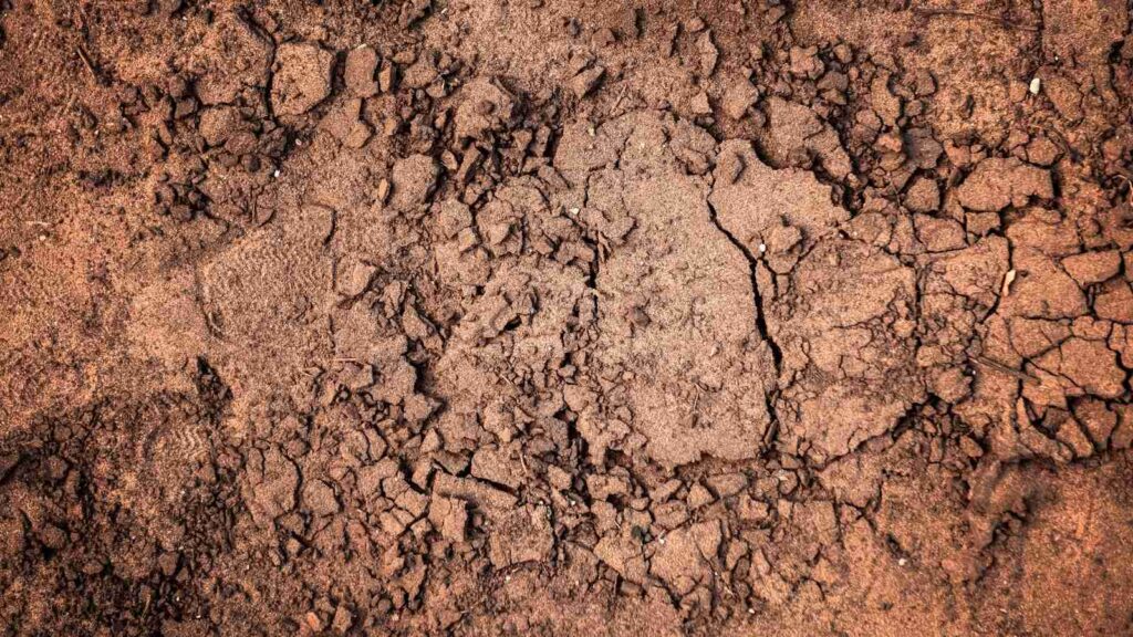 Close up of a dry clay soil