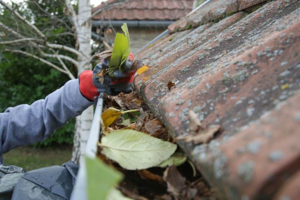 blocked guttering in Auckland