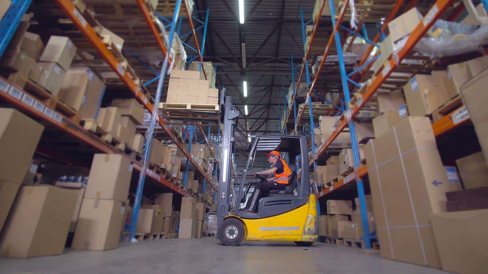forklift operator in Tauranga