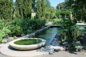 modern garden with pond